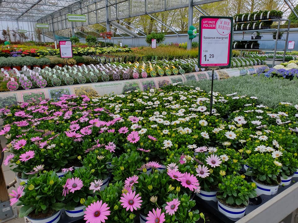 Tuinplanten kopen in Limburg bij Beeker Tuincentrum